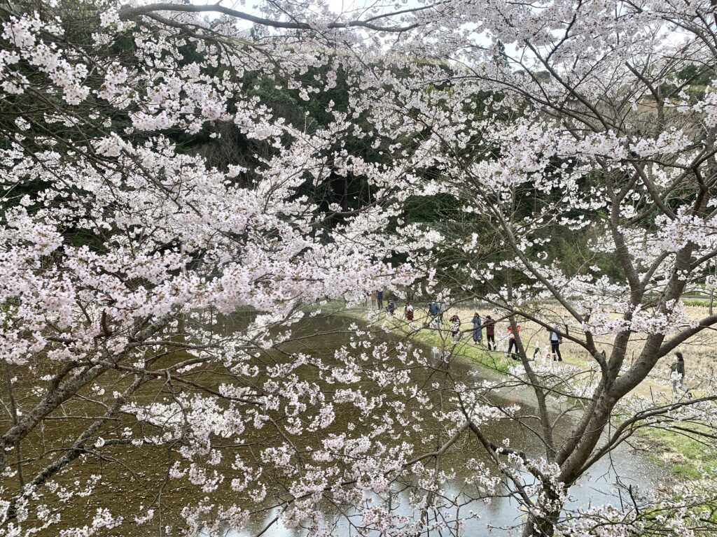 小湊鉄道