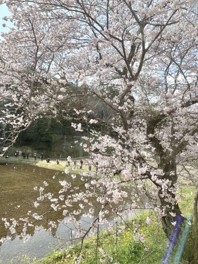 小湊鉄道