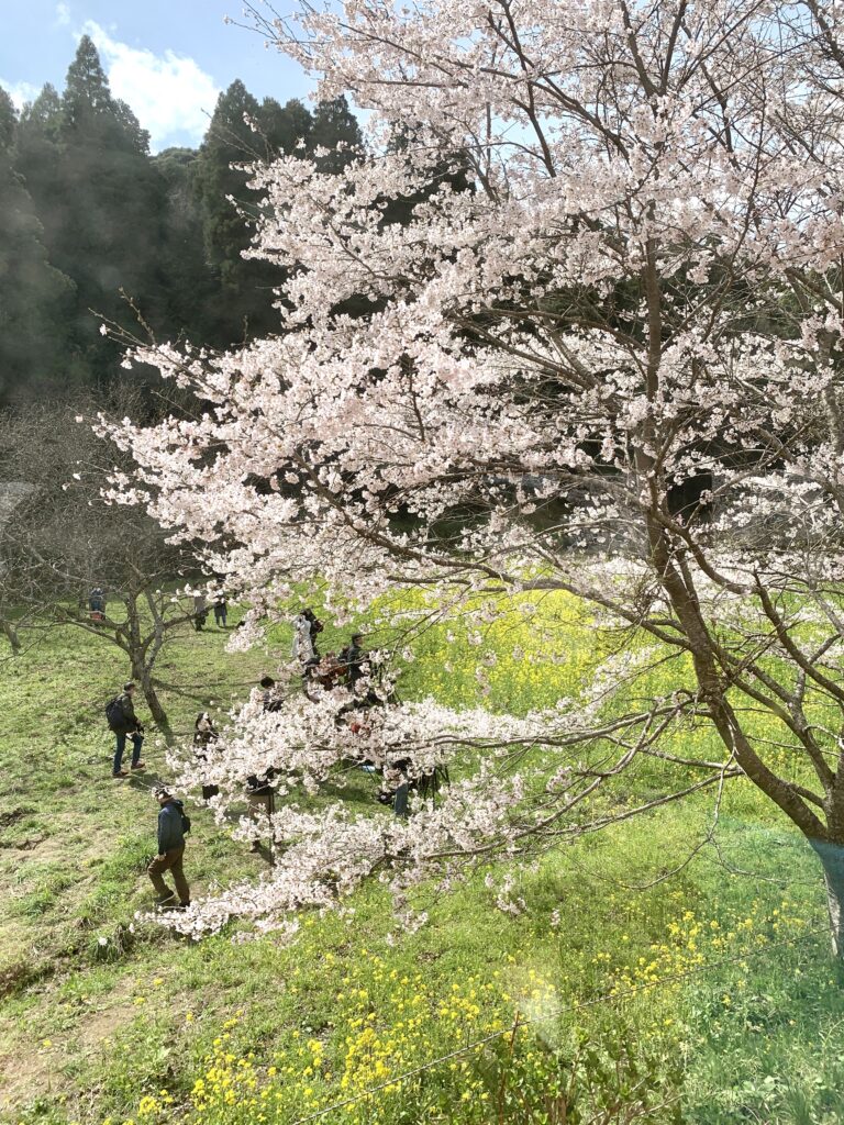 小湊鉄道